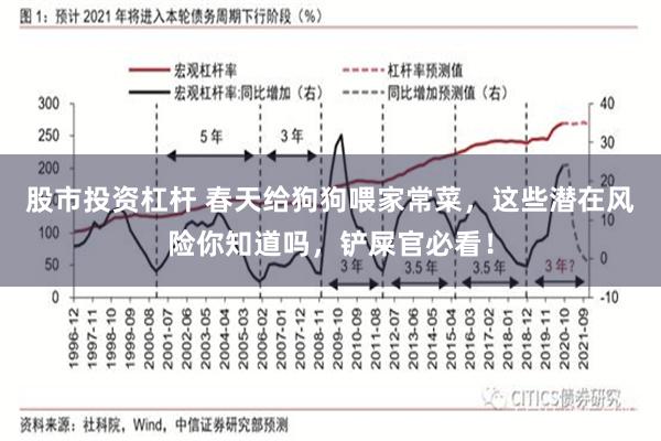 股市投资杠杆 春天给狗狗喂家常菜，这些潜在风险你知道吗，铲屎官必看！