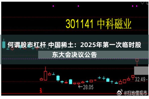 何谓股市杠杆 中国稀土：2025年第一次临时股东大会决议公告