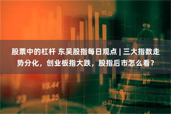 股票中的杠杆 东吴股指每日观点 | 三大指数走势分化，创业板指大跌，股指后市怎么看？